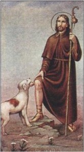 La bendición de las mascotas será a las 17:00hs 