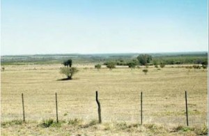 Alertan sobre enfermedades..