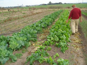 Don Cristóbal será sede del evento