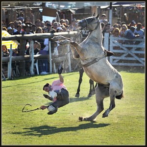 El joven sufrió traumatismo en la columna al caer de un caballo.