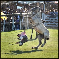 El joven sufrió traumatismo en la columna al caer de un caballo.