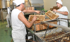 Valor agregado en origen