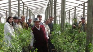 Para prevenir el HLB y aumentar la producción.