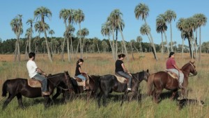 En algunas localidades llega al 90 por ciento.