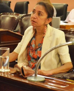 La iniciativa es de Emilce Pross.