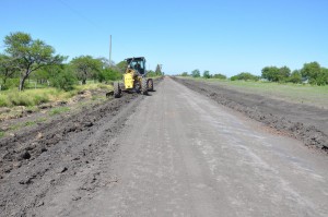 Desde el área estiman que el próximo año será auspicioso.