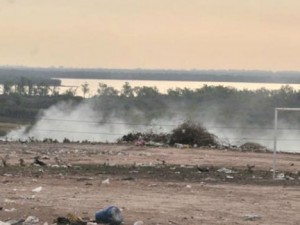 Causa iniciada por el Foro Ecologista.