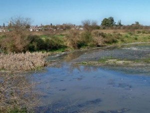 La gestión busca concretarse tras el colapso de las lagunas cloacales.