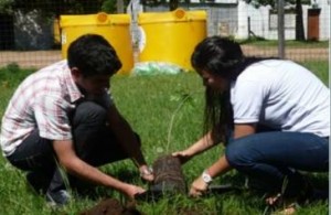 San José está llevando adelante un programa, desde hace tres años.
