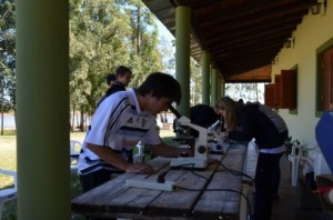 Los becarios se triplicaron.