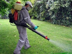 Realizan tareas de fumigación en establecimientos educativos de Crespo.