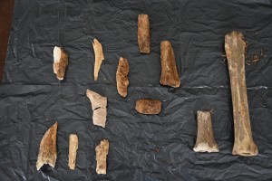 Hallan restos oseos en zona de centro clandestino militar.