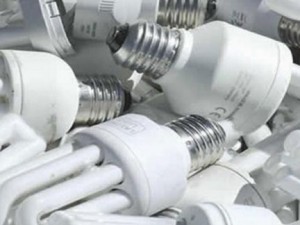 En Sosa se entregaron lámparas bajo consumo.