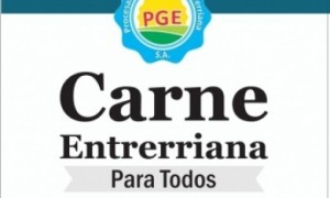 Frente al Palacio Municipal desde las 9.00.