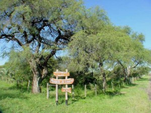 Convocan a la comunidad a participar del concurso.