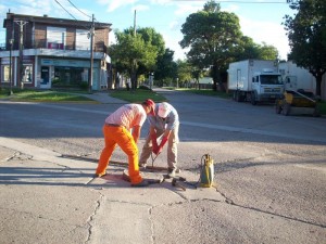 Fumigación en cámaras cloacales.