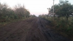 Apertura de caminos productivos.