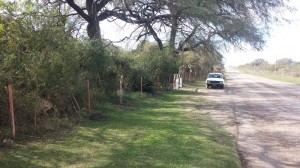 Personal municipal continúa trabajando en las mejoras dentro del predio.