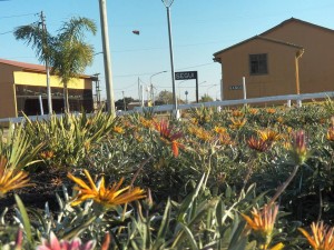 Aniversario de Seguí