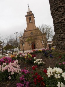 Festejo Patronal en Cerrito