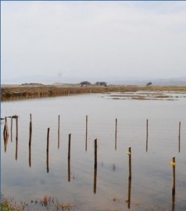 Tratarán la situación del campo