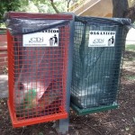 Nuevos cestos para residuos en Cerrito