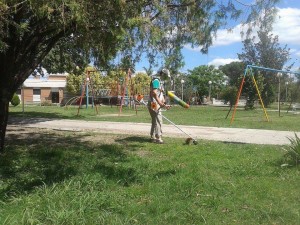 El Intendente de Viale y funcionaros realizaron tareas de desmalezado