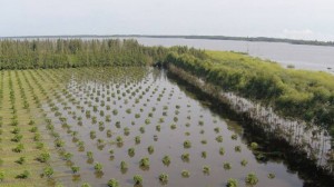La horticultura es una de las producciones más afectadas por las lluvias en la provincia.