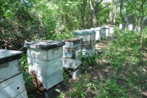 Es para producciones afectadas por las inundaciones.