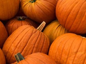 El evento será en el polideportivo el 6 de febrero a las 22.