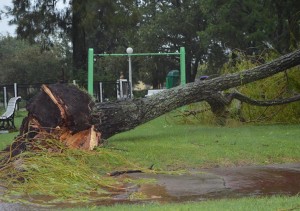 Fuerte tormenta en Seguí