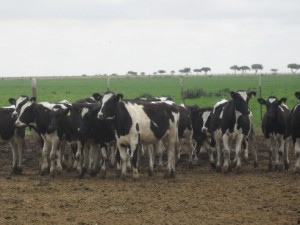 Gestiones ante Nación.