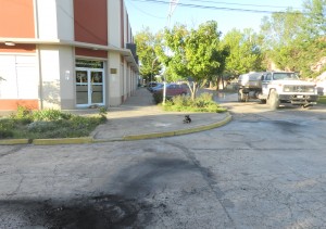 Todos vuelven a trabajar.