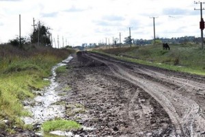 Zavallo pide por un camino vecinal