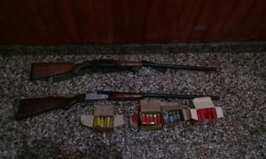 También recuperaron escopetas y cartuchos