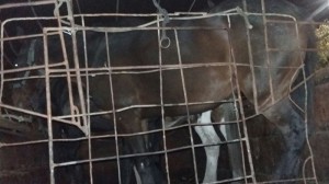 En Colonia Avellaneda.