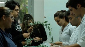 Se busca formar microemprendedores