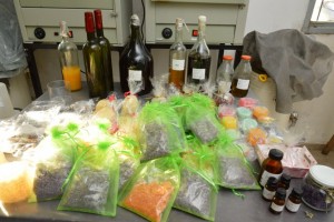 Plantas aromáticas: propuestas variadas.