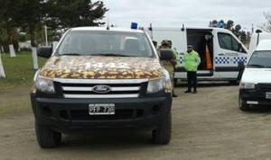 Decomisaron pescado en la ruta 12