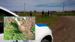 El  artefacto se encontraba inactivo.