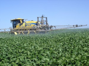Jornada para productores en Cerrito