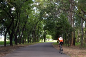 Bicisenda de ingreso.