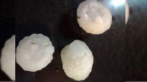 "Era del tamaño de la palma de una mano", dijeron.