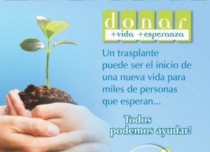 Cuatro pacientes acceden a trasplantes.