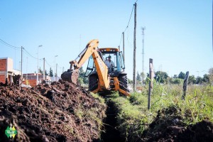 Obras en Viale.