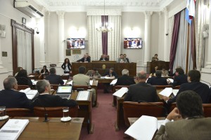 Sesión en la Cámara Alta.