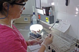 Este viernes en la plaza 1 de Mayo.