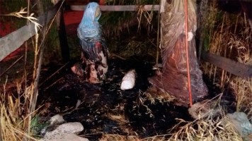 Los cuatro adolescentes fueron vistos y detenidos por la policía.