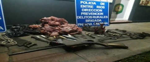 Allanamiento en Viale.