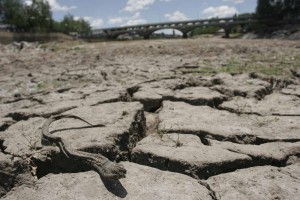 Se encuentran también los formularios para acceder a los beneficios de dicha emergencia.